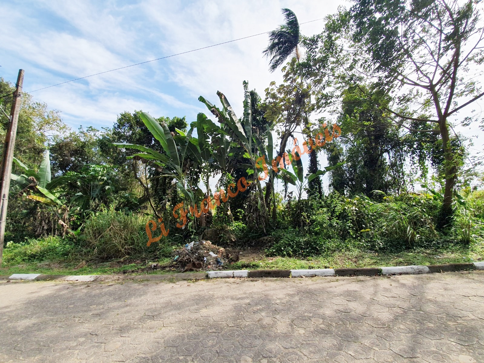 Terreno com 1.555,50m2 no bairro Morro São João, Cananéia -SP (Código 18)