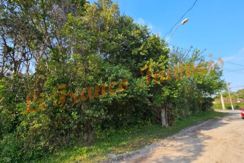 5f42b86c-663c-45cf-8585-5e22ab51a5f2