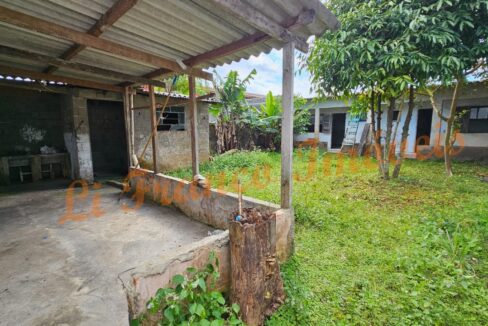 e3b688ed-a415-49ed-90cb-194793f2ca51