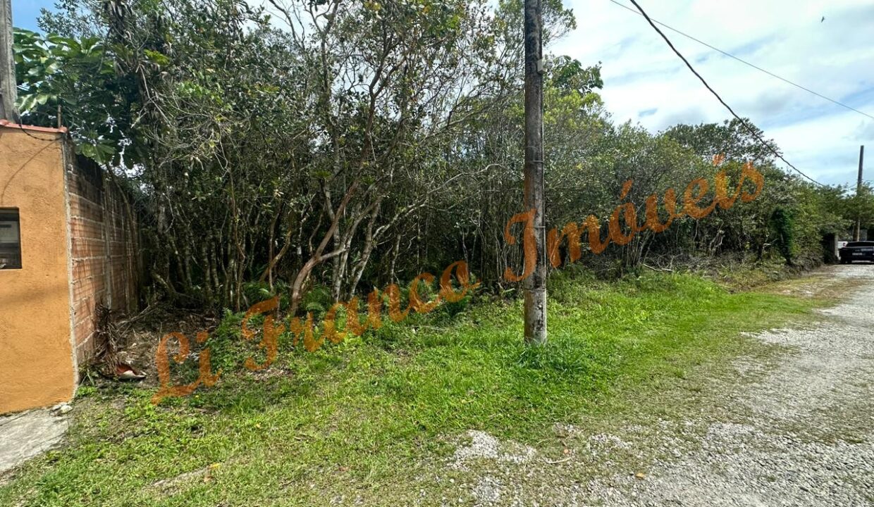 587335219_1489906173140371_3332509744095662105_n