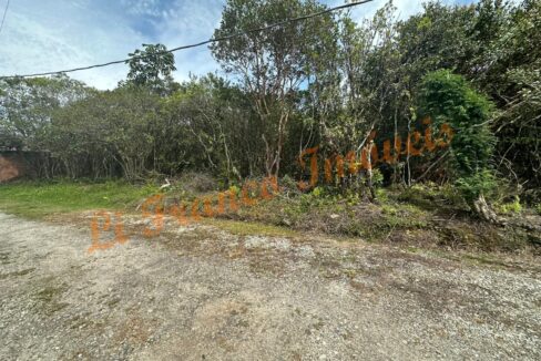 587787755_1489906176473704_6685965167803525440_n