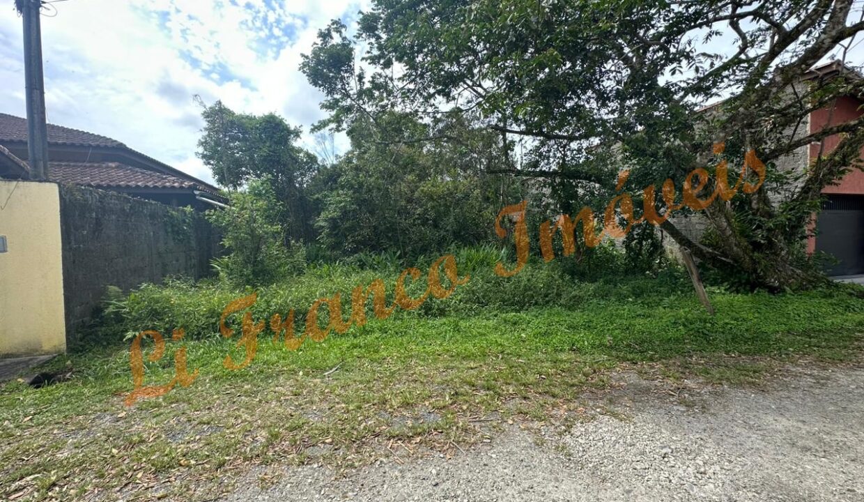 588409445_1489873576476964_8440004861736632778_n