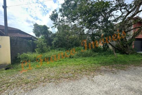 588409445_1489873576476964_8440004861736632778_n