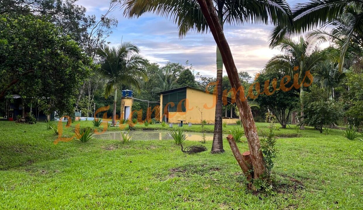 6b9b78dd-5496-48eb-aff8-584e5461bc81