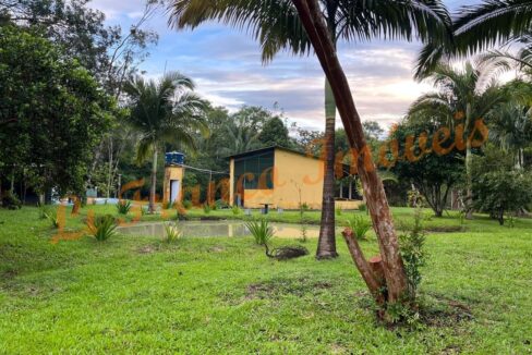 6b9b78dd-5496-48eb-aff8-584e5461bc81