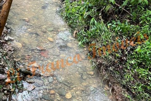 f97abb3e-6ca9-43cd-86ff-3c169539d079