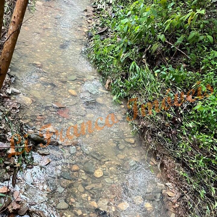 f97abb3e-6ca9-43cd-86ff-3c169539d079