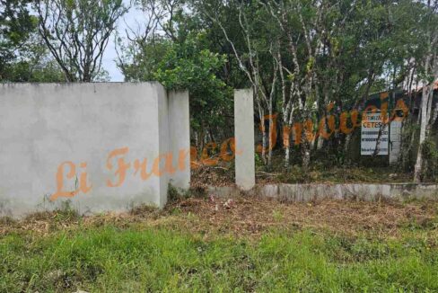 bb96cbbc-94d9-4e56-a21f-c36b10c807fc