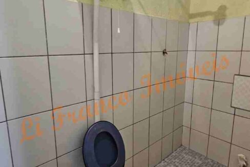 66ef5f9c-6da5-4ec1-a462-d97c0cb36b84