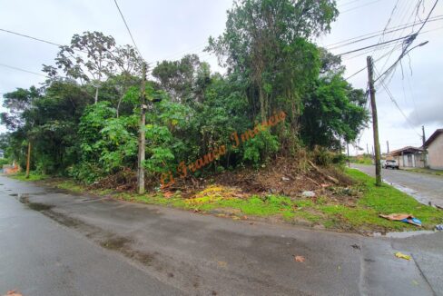 3ad03fef-0069-41fe-b429-5a96b71800ae